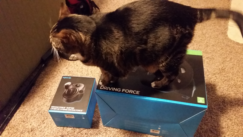 My cat made great use of the box.
